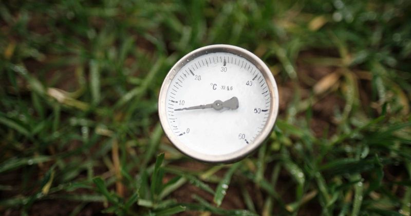 A Soil Thermometer And A Phone Reminder Can Save Your Spring Lawn