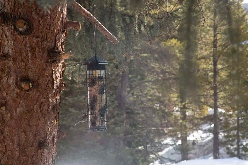 A Spot You Can't Reach Easily In Winter