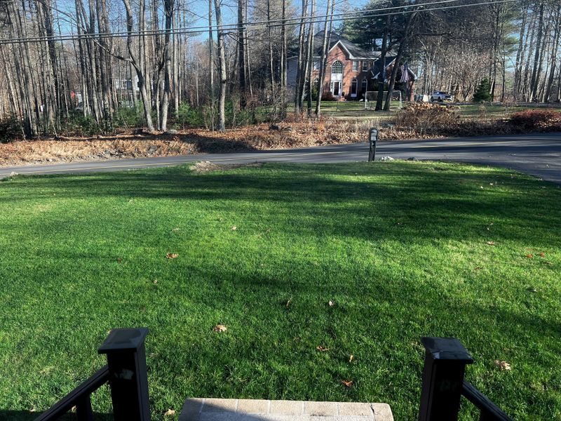 A Spring Lawn Shaped By October Choices A Spring Lawn Shaped By October Choices