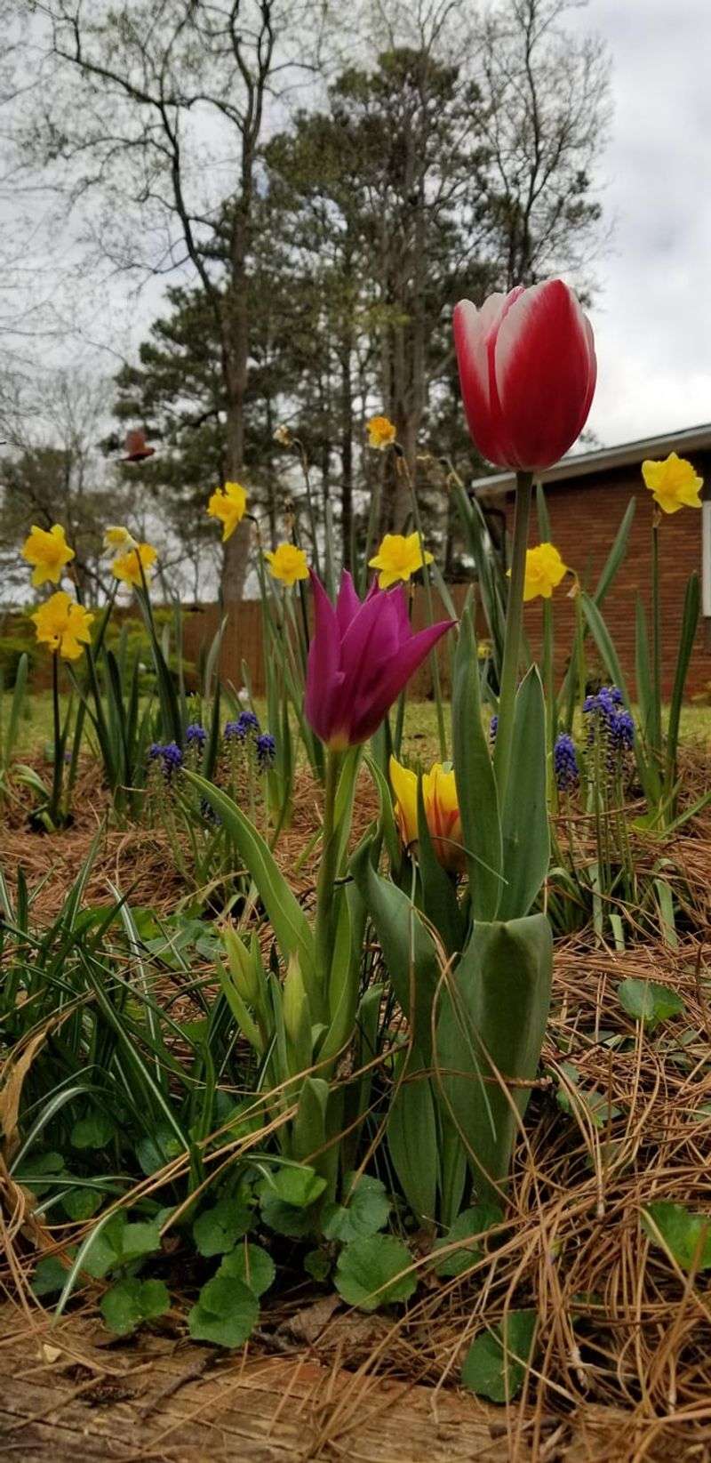 A Spring Payoff Worth The Wait