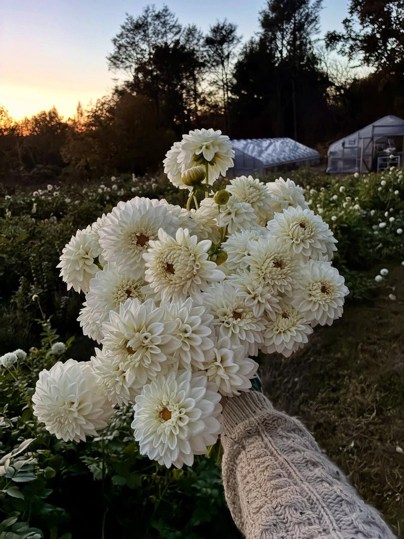 A Spring Plan Starts This Fall
