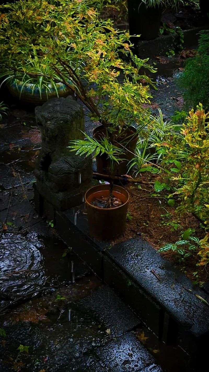 A Stronger Soil Base Keeps the Next Storm From Souring Things