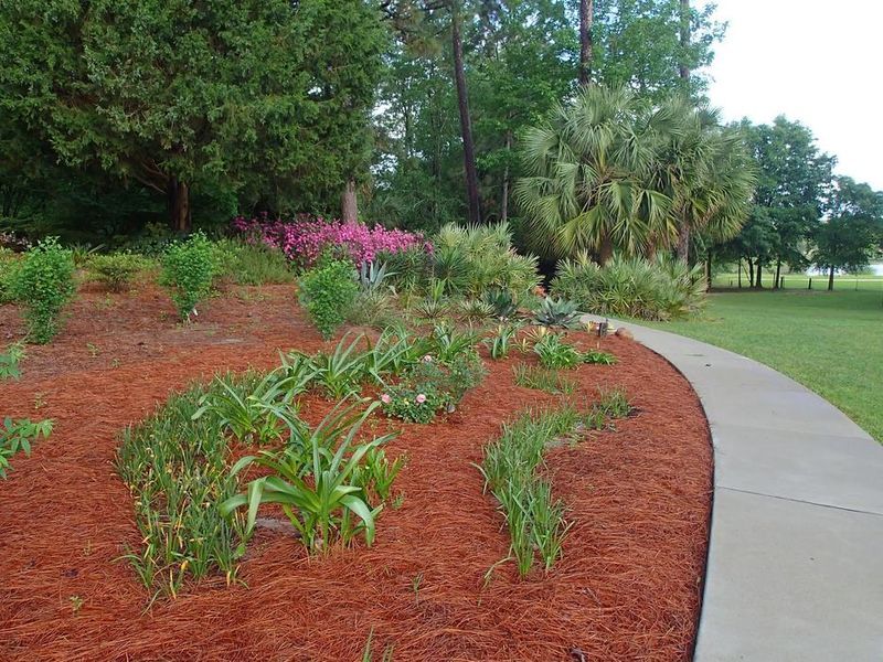 A Two To Three Inch Layer Around Perennials A Two To Three Inch Layer Around Perennials
