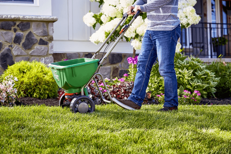 A Virginia Lawn Plan For The Whole Year
