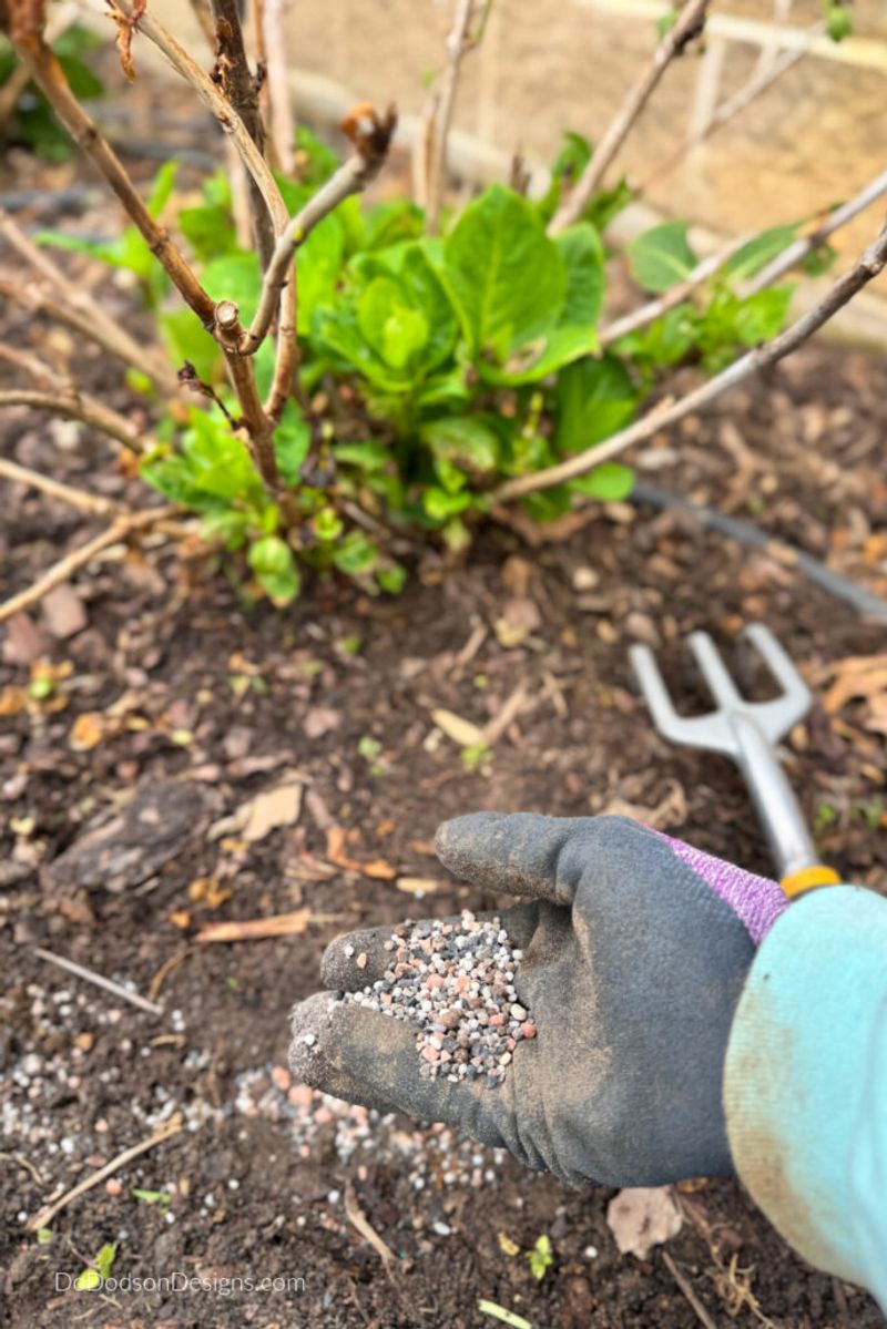A Well-Meant Boost In Fall Can Leave Stems Unready For Cold A Well-Meant Boost In Fall Can Leave Stems Unready For Cold