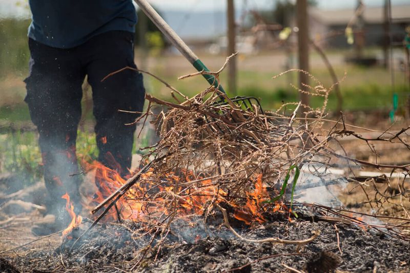 A burn permit is not a safety clearance A burn permit is not a safety clearance