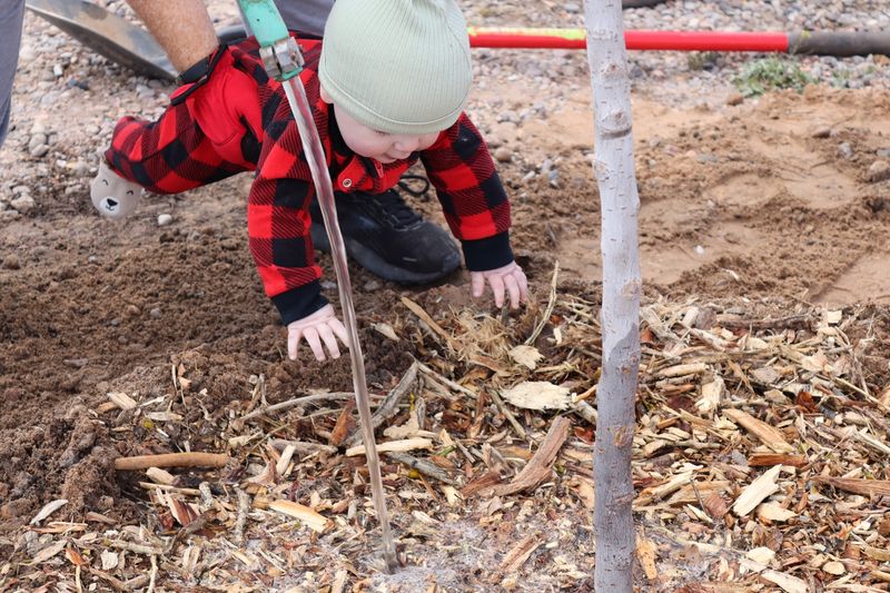 A deep soak needs a soil check A deep soak needs a soil check