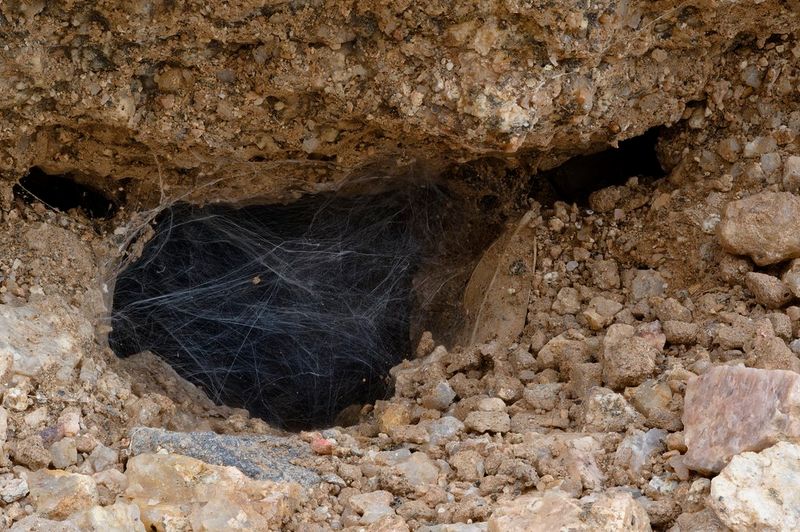 A hole alone cannot identify its occupant A hole alone cannot identify its occupant