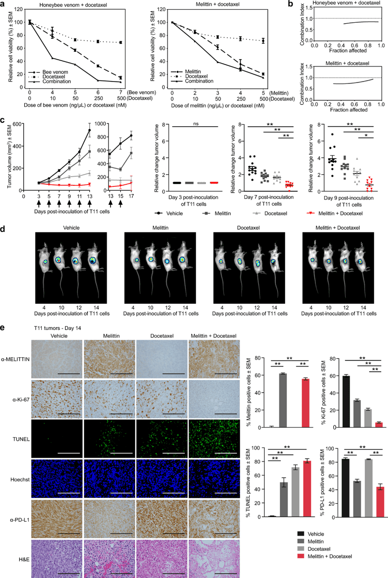 A mouse tumor experiment is not human evidence