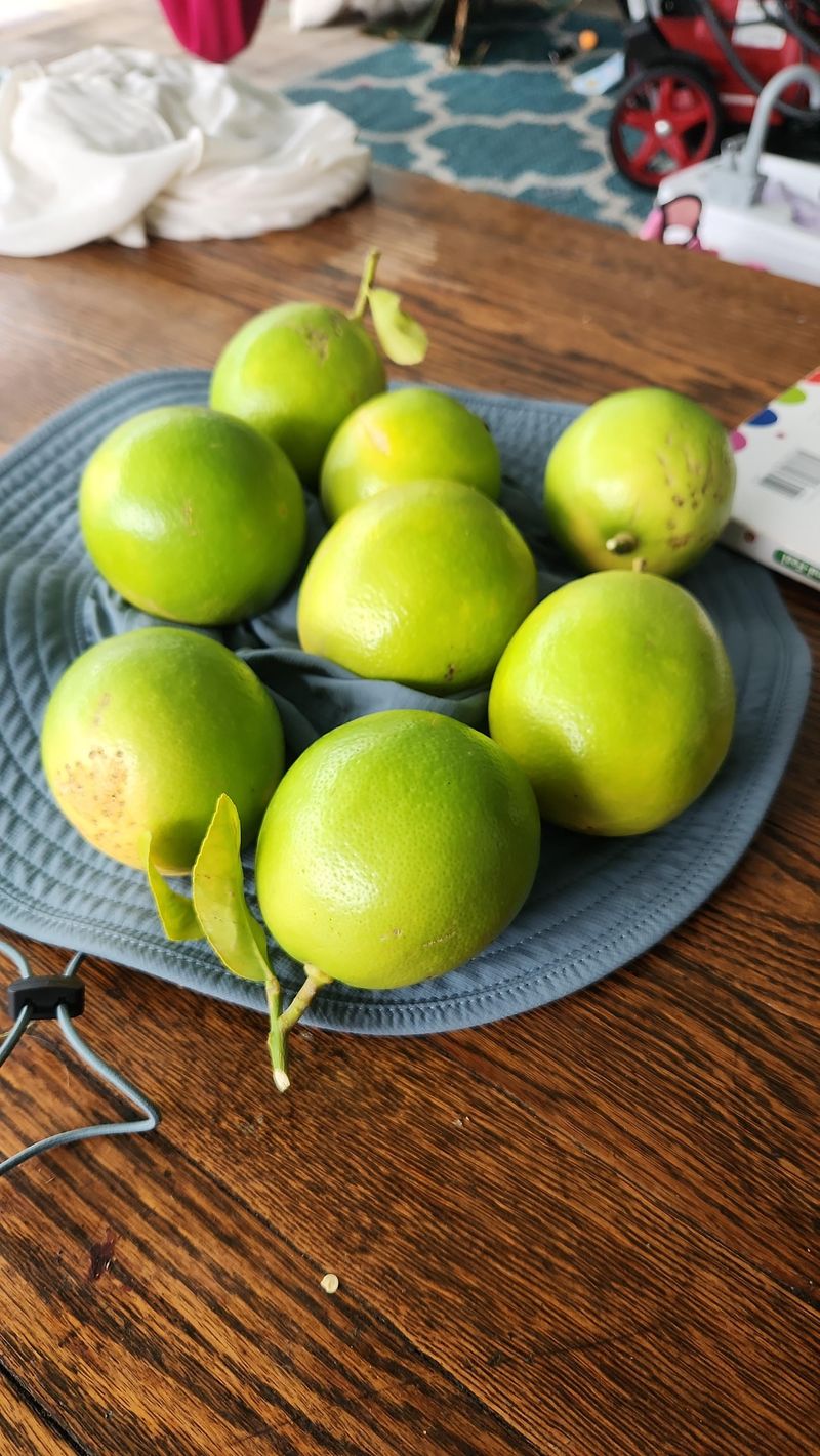 A picked lemon may change color without ripening further A picked lemon may change color without ripening further