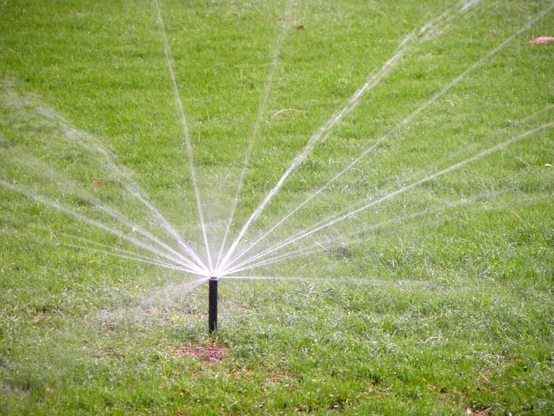 A plant swap alone cannot promise a set water saving