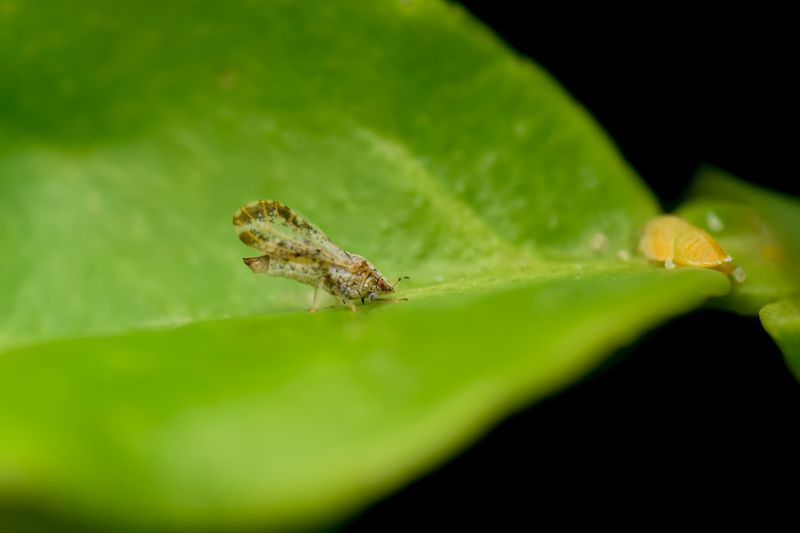 A sighting is a reason to report, not to panic