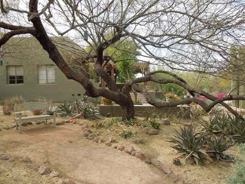 A typical low-desert yard may not provide the right setting A typical low-desert yard may not provide the right setting