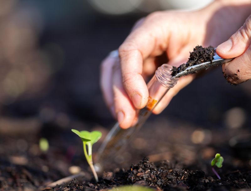 Acidic Soil Is Tipping The Balance