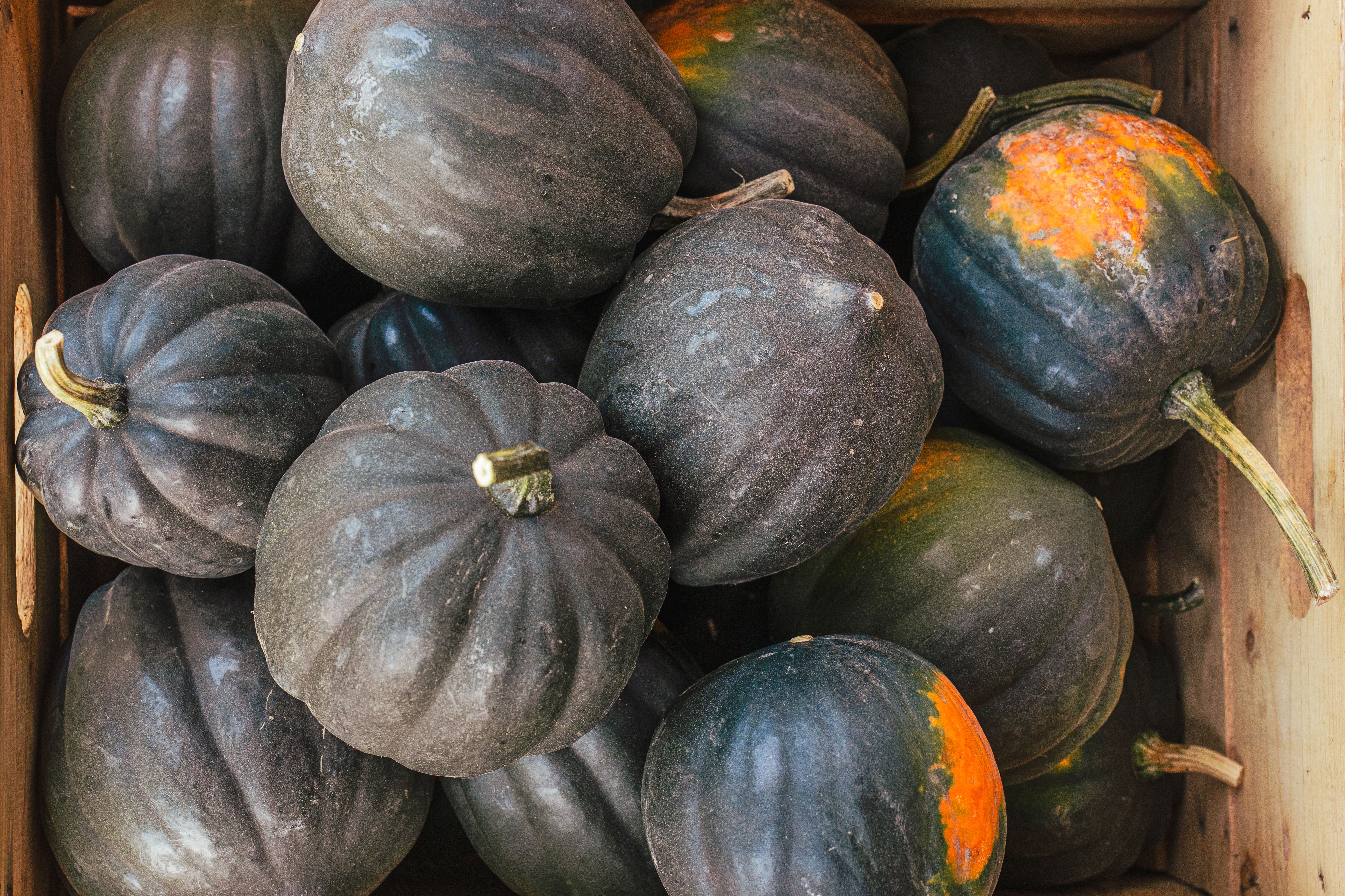 Acorn Squash