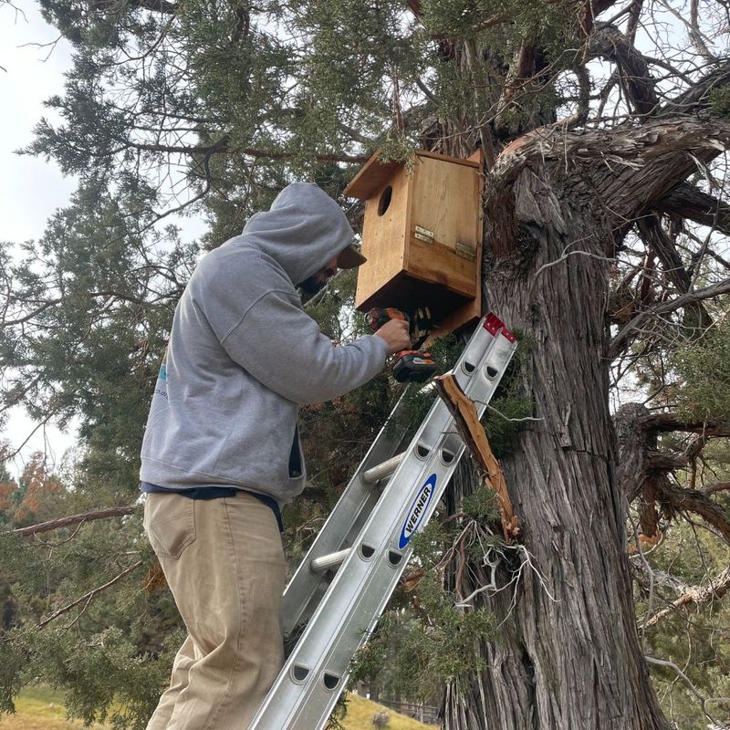 Add A Few Inches Of Wood Shavings Add A Few Inches Of Wood Shavings