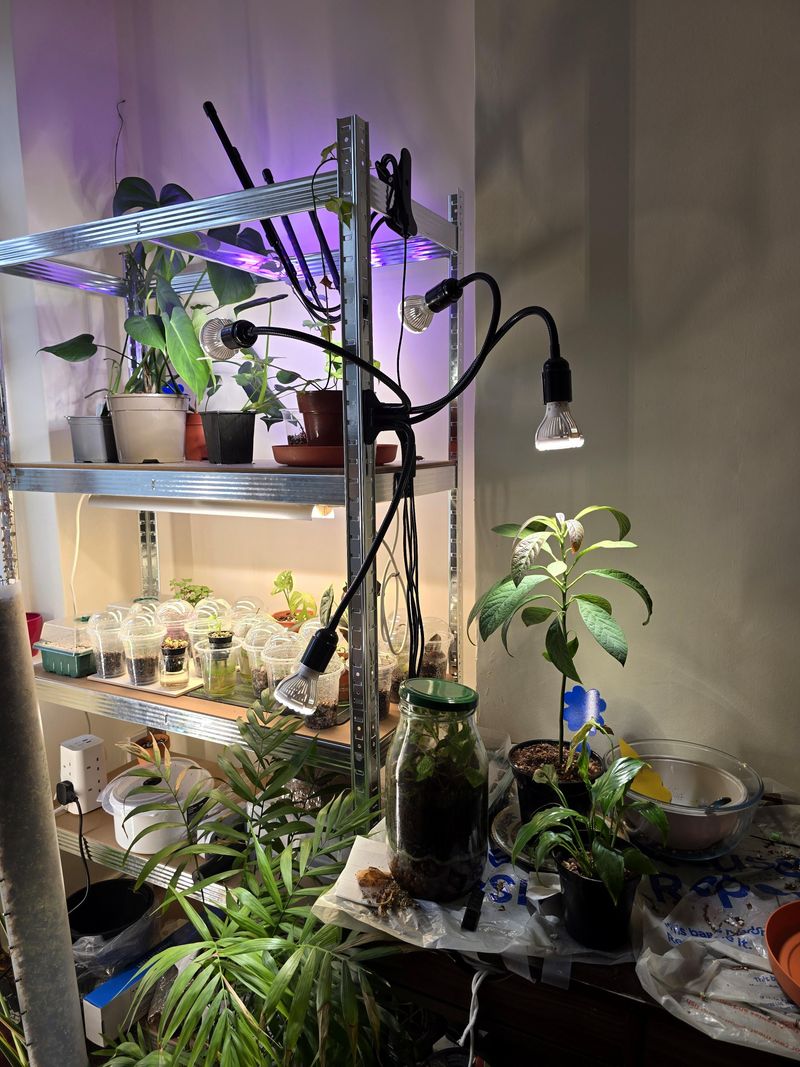 Add A Grow Light For Dim Rooms