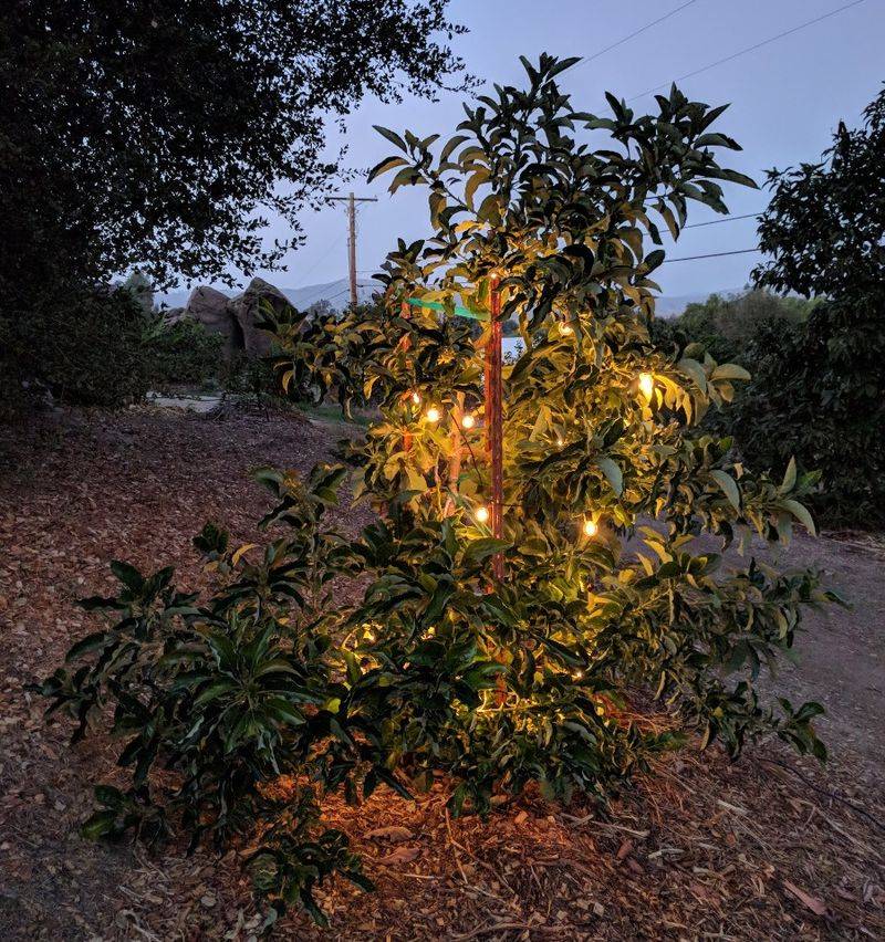 Add Outdoor Incandescent Lights Under The Cover