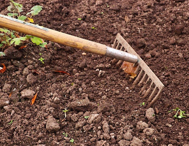 Adding Compost To The Hole Can Create Drainage Problems