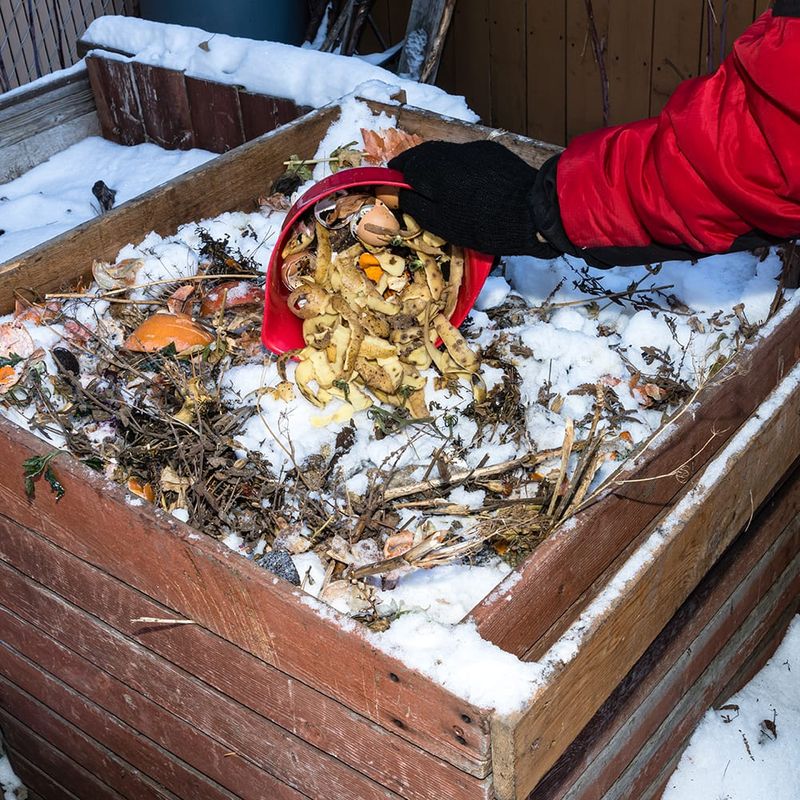 Adding Kitchen Scraps Without Enough Browns Adding Kitchen Scraps Without Enough Browns