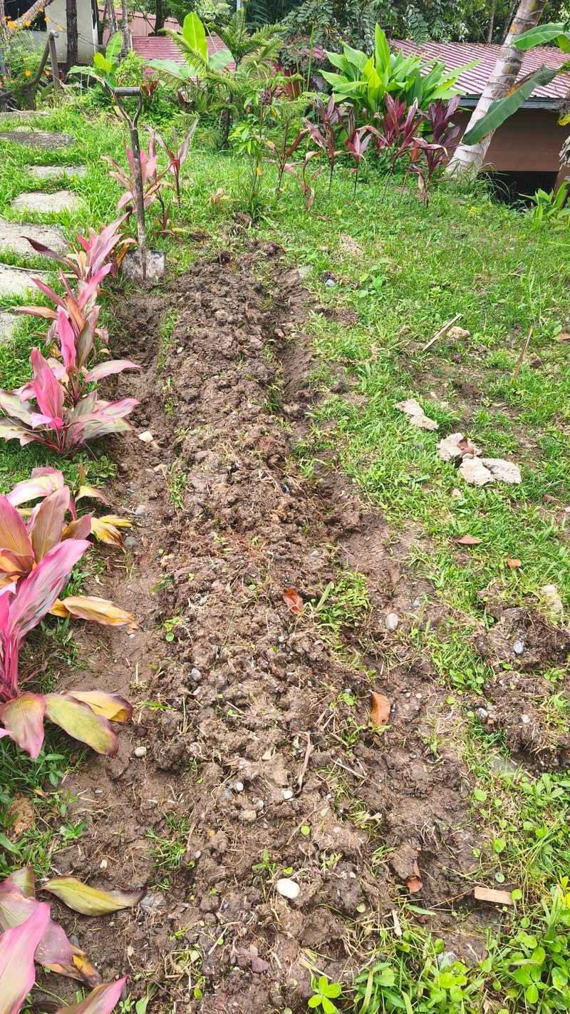Adding Sand To Clay Can Make Drainage Problems Worse