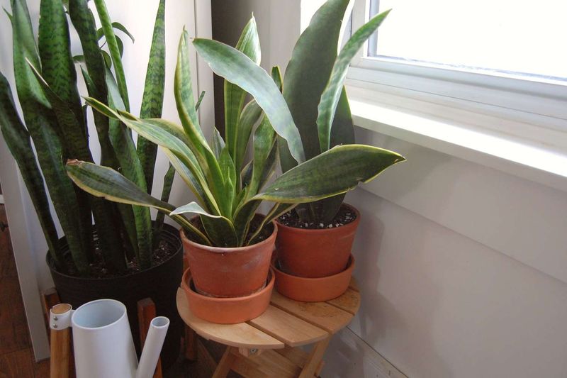 Adjust For Light And Room Temperature