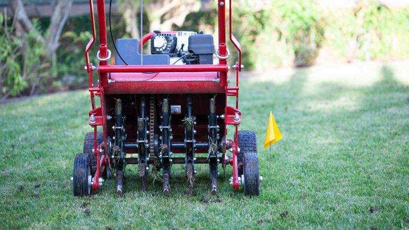 Aerate Compacted Areas To Reopen Root Zones Aerate Compacted Areas To Reopen Root Zones