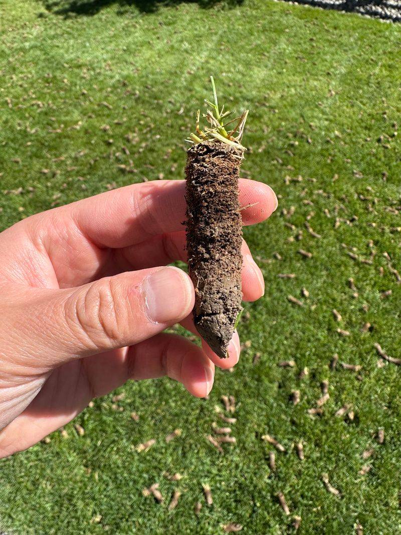 Aerate Compacted Spots Aerate Compacted Spots