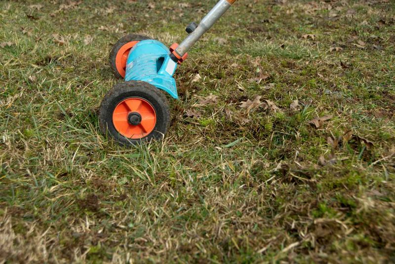 Aerating Too Late Leaves Less Time For Turf To Recover