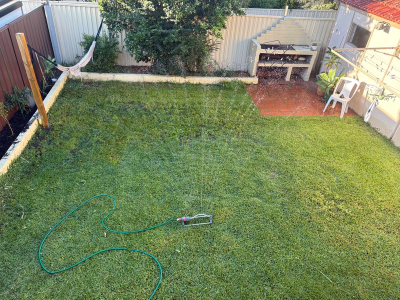Aftercare For A Freshly Raked Lawn