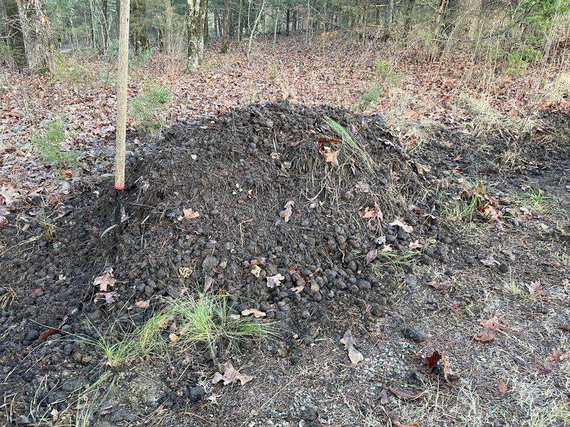 Aged Manure Adds Slow Release Fertility