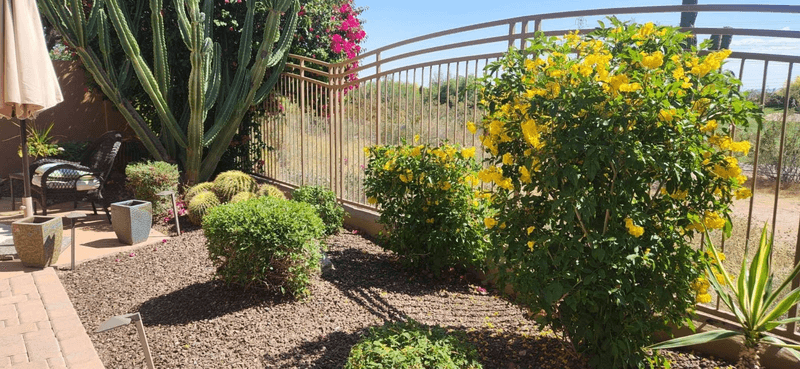 Aim for a less inviting perimeter, not a snake-proof yard