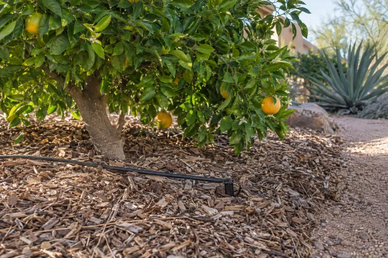 Aim for stable soil moisture