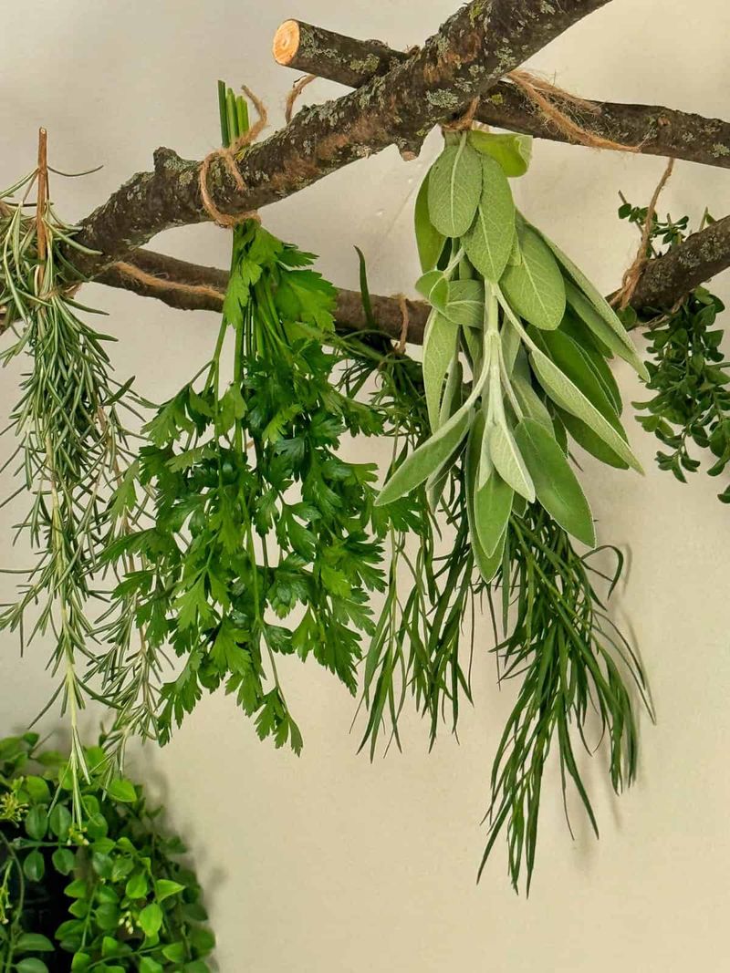 Air-Dry Bundles For The Winter Spice Rack