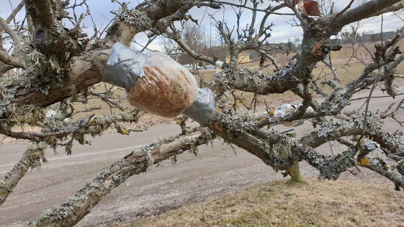 Air Layers Slow Down In Cooling Weather