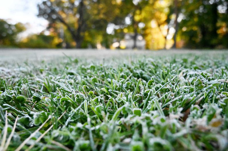 Albany And Syracuse Usually Freeze In Early October Albany And Syracuse Usually Freeze In Early October