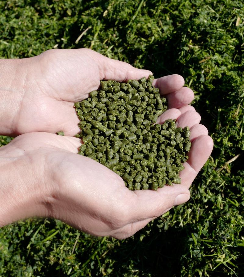 Alfalfa Meal For Slow Winter Breakdown