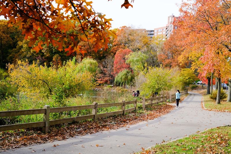 Alley Pond Park