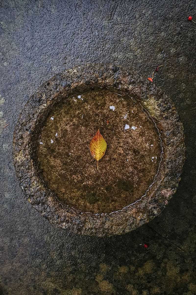 An Empty Or Dry Birdbath In Autumn An Empty Or Dry Birdbath In Autumn