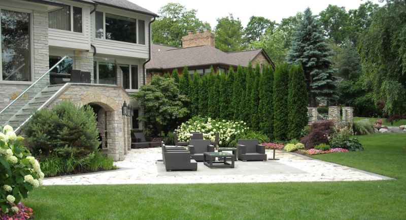 Arborvitae That Ignites Fast When Dry