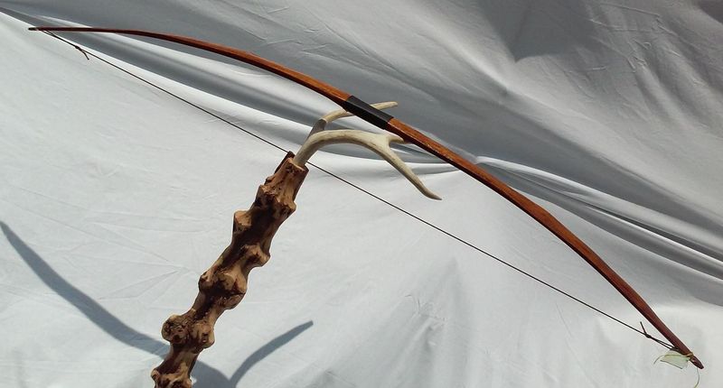 Archers Prize It As The Finest Wood For Bows Archers Prize It As The Finest Wood For Bows