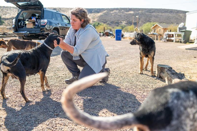 Arizona’s RMSF burden has a specific context
