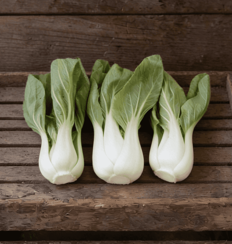Asian Greens Like Bok Choy Love Cool Weather