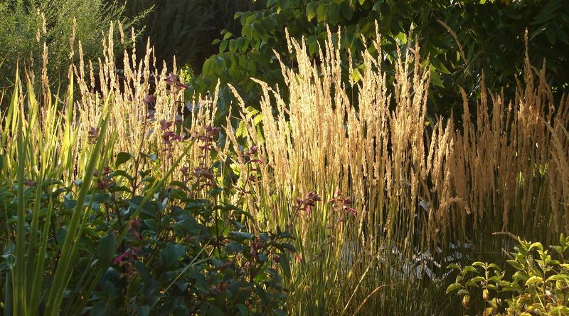 Autumn is the best time to plant Autumn is the best time to plant