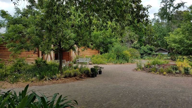 Backyard Orchard Plants Take Center Stage This Year Backyard Orchard Plants Take Center Stage This Year