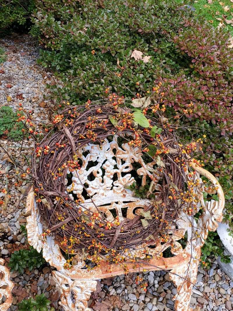 Bag And Trash Old Decorations Instead Of Composting Them