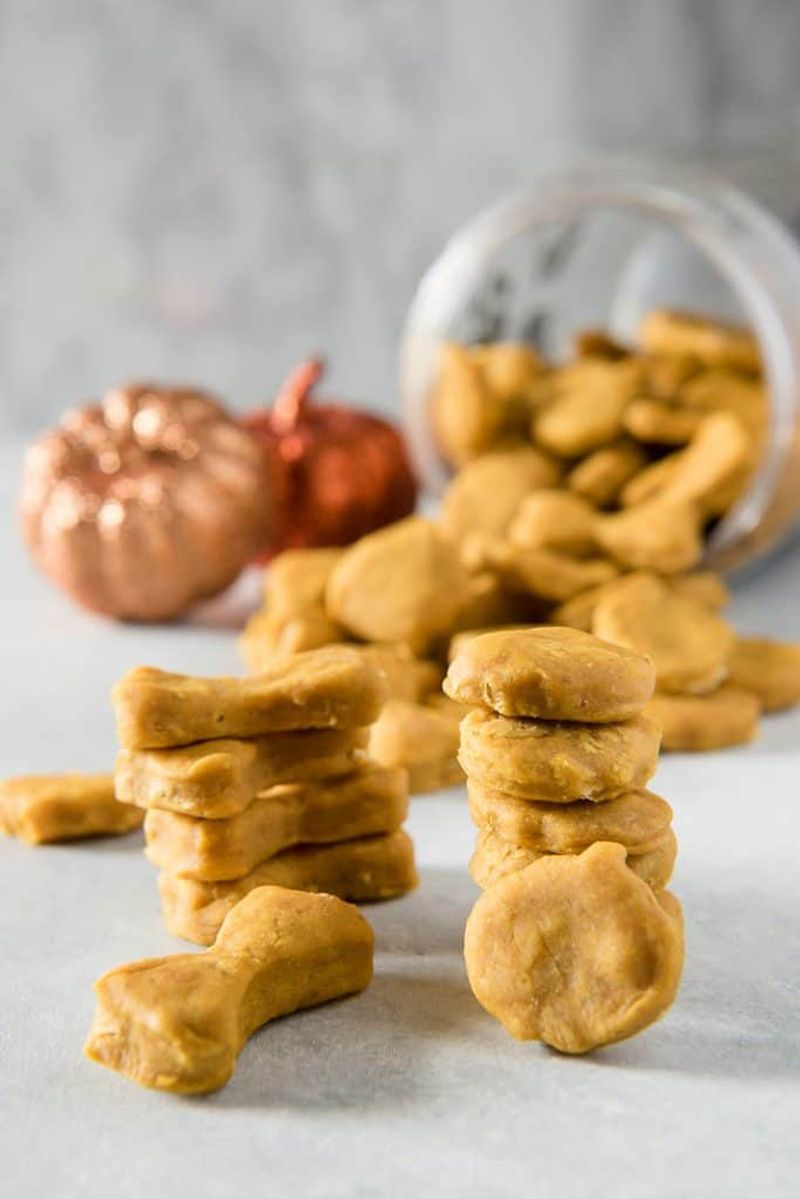 Bake Pumpkin Biscuits For Your Dog