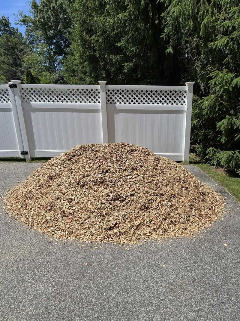 Bare Dirt And Gravel Tree Lawns In Shaker Heights Bare Dirt And Gravel Tree Lawns In Shaker Heights