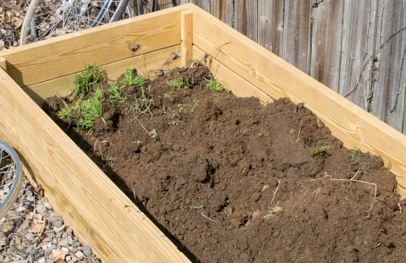 Bare Soil Does Not Need A Tiller To Be Ready For Planting Bare Soil Does Not Need A Tiller To Be Ready For Planting