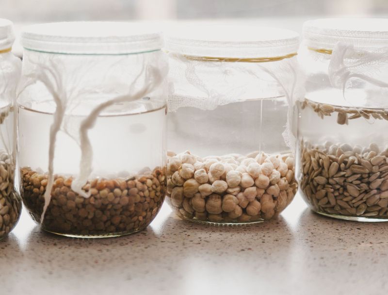 Beans Usually Do Better Without A Soak Beans Usually Do Better Without A Soak